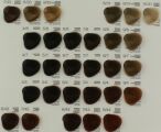 Oyster Perlacolor Krem Koloryzujący Farba 100 ml Pakiet 12 szt - 4