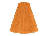 Londacolor Londa Farba Krem Tonujący 60 ml 10/81 - 2